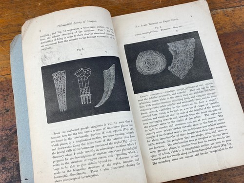 1880 Paleontology Booklet, Rugosa Corals Scotland, James Thomson, Dick Institute - Picture 5 of 10