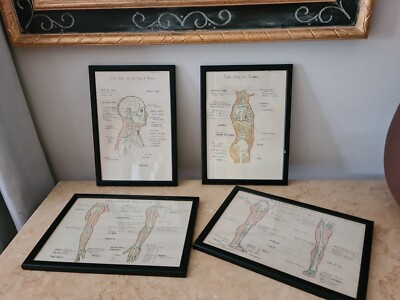 Ein Satz von vier antiken Tusche & Aquarell anatomischen Zeichnungen signiert um 1900 medizinisch