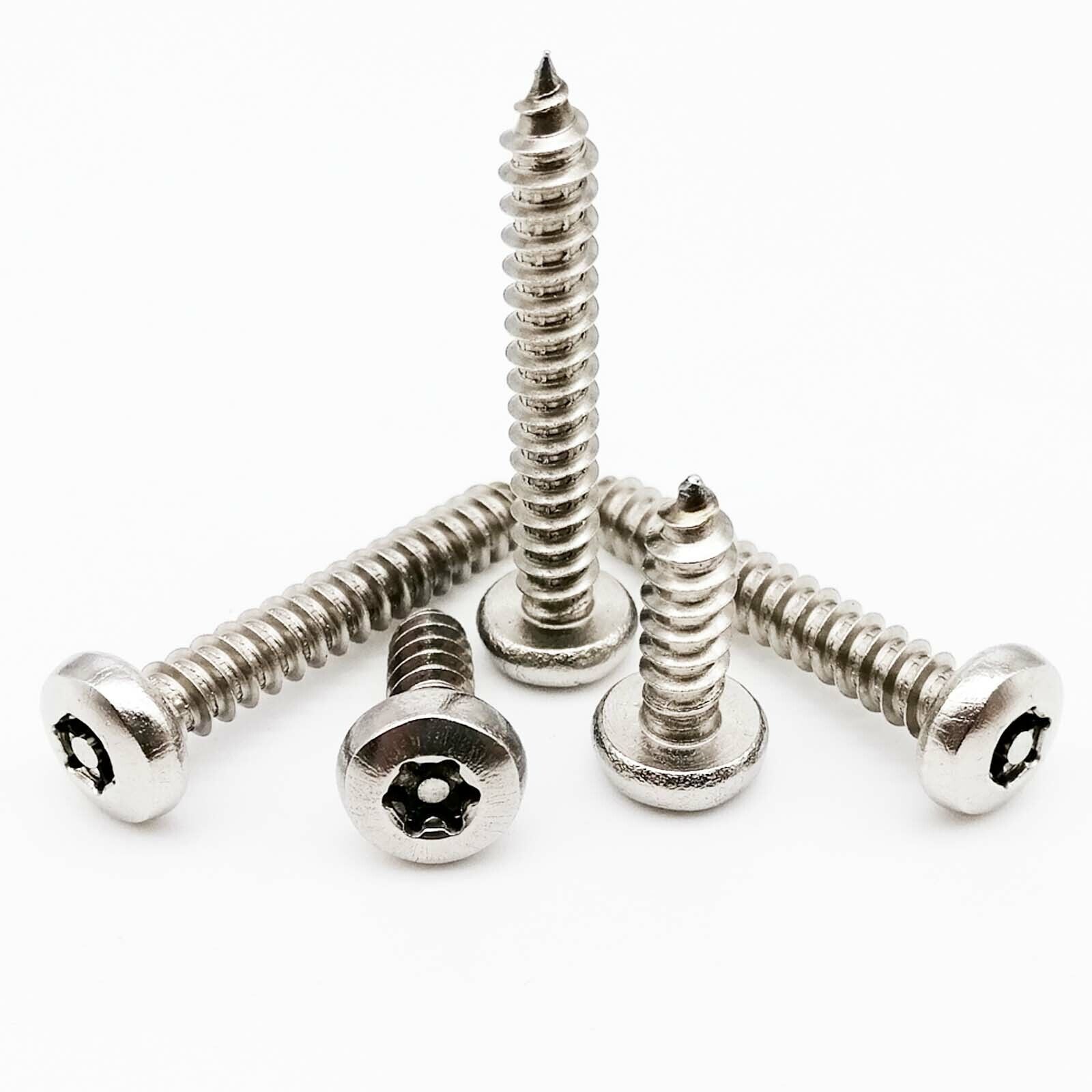 10X M2.9-4.8 304 Stainless Steel Torx Pan Head Self-Tapping Screw with Pin