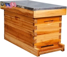 5-Frame Nuc Beehive for Bees Complete Bee Hive Box Kit with Metal Roof Includes