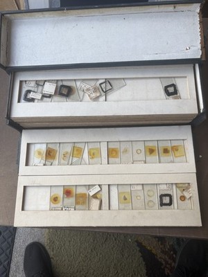 Antiker viktorianischer Miniatur Schreibtisch Mikroskop Objektträger Schrank Muster Schubladen