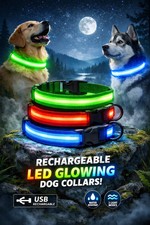 USB Rechargeable LED Dog Collar High Visibility Glow Light Up Safety Flashing UK