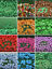 thumbnail 1  - LEGO Flowers / Garden , House, Stem, Plant Small Piece Accessories / Pick &amp; Mix
