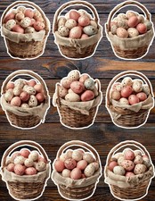 Basket of Easter Eggs Die Cut Vinyl Stickers Set Scrapbooking Laptop Waterbottle