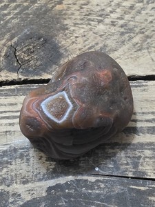 2.9 0z Laker With Beautiful Face And Nice Pitted Husk