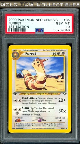 Furret (1st Edition) graded PSA 10 for sale on eBay