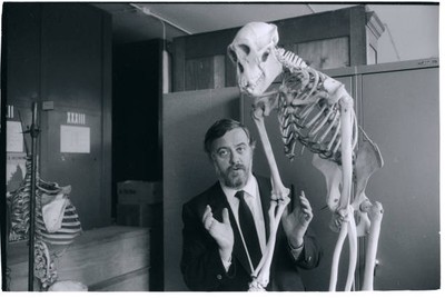 French Paleoanthropologist Yves Coppens Stands Next To The Skeleto- Old Photo