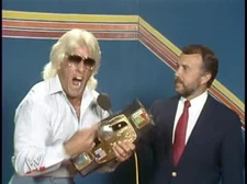 NWA WRESTLING 1985  11 DVD SET  RIC FLAIR ROAD WARRIORS FOUR HORSEMEN 