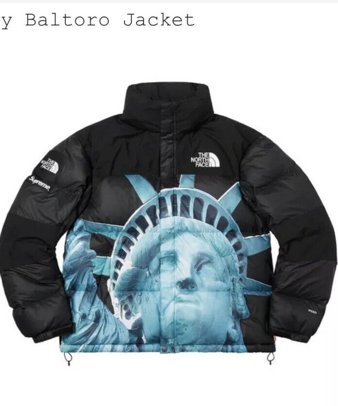 Brand New Supreme The North Face TNF Hoodie Black XL Statue of Liberty F/W19