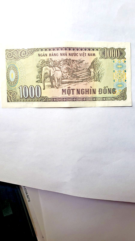 1988 NORTH VIETNAM Crispy 1000 DONG NOTE Shows HO CHI MINH & Elephant 256