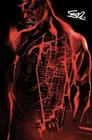 SIGNED STEPHANIE PHILLIPS DAREDEVIL #1 JOCK C2E2 VIRGIN EXCLUSIVE NM+  W COA