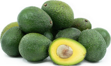 Grafted Gwen Avocado (Persea americana) Live Fruit Tree (10in-2ft)