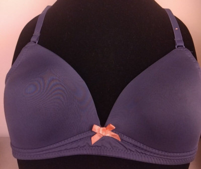 Secret Possessions RN 145478 Gray Wireless T Shirt Bra Size 32 B.            (2)