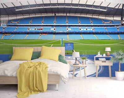 3D Stadium Sports Pattern Wallpaper Wall Murals Removable Wallpaper 52