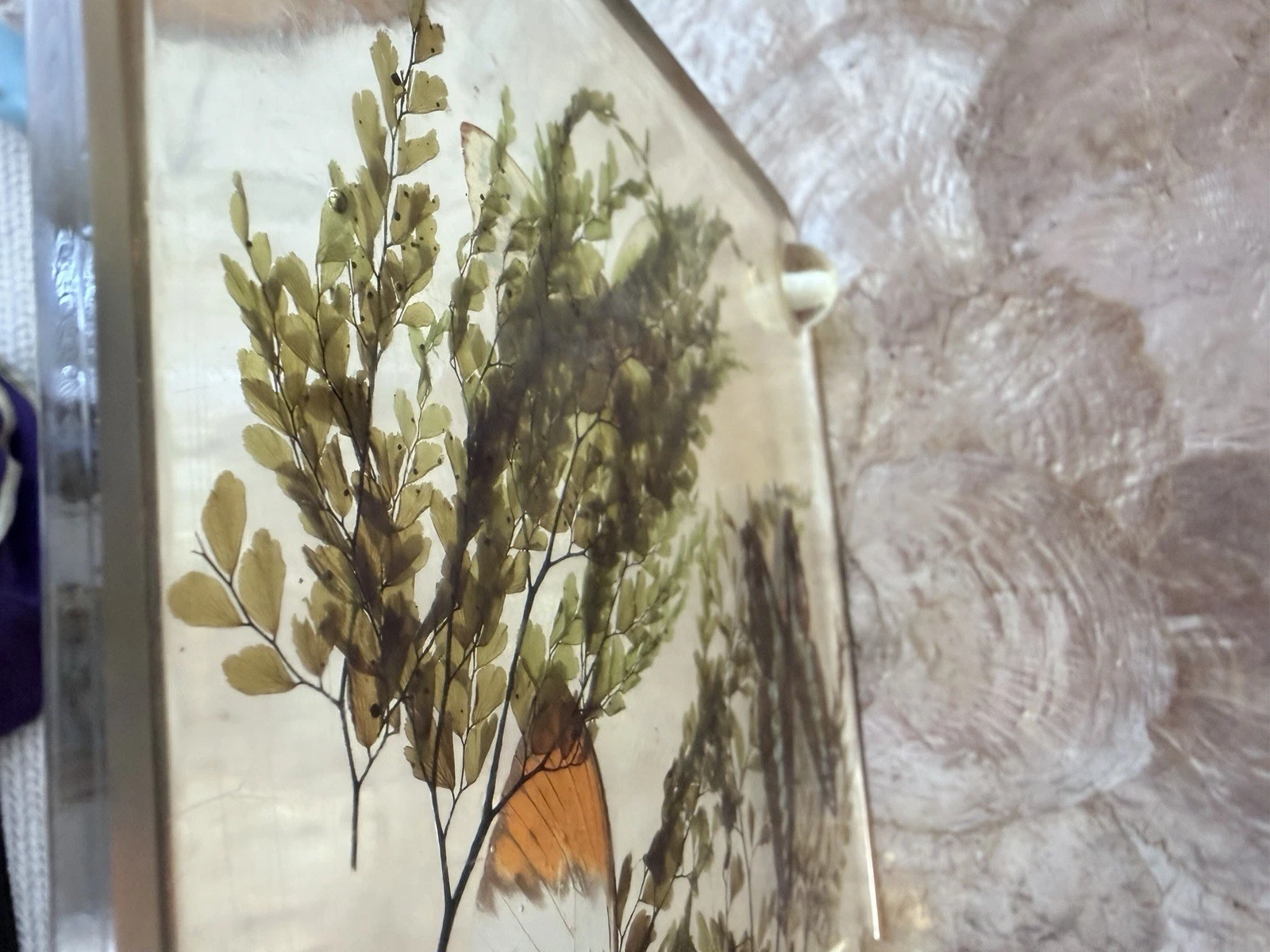 Vintage Lucite Resin Butterfly Fern Specimen Trivet Display 8in MCM Decor - product detail image 9