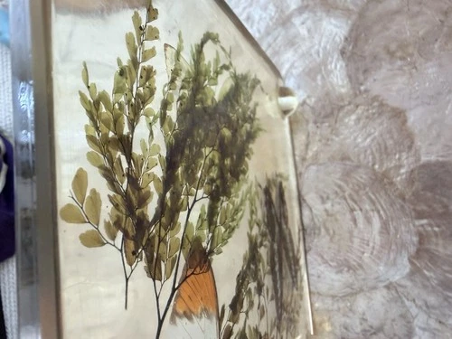Vintage Lucite Resin Butterfly Fern Specimen Trivet Display 8in MCM Decor image 9