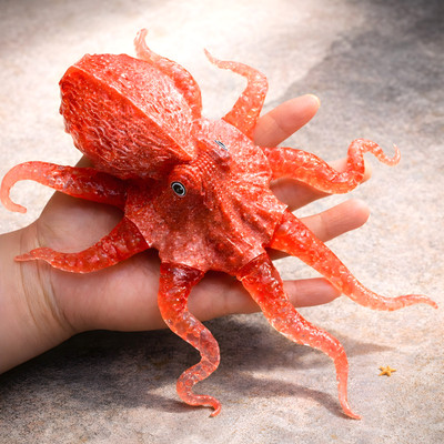7.87 in octopus mold Resin, plaster, soap mold, candle mold