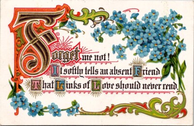 Forget Me Not Friend Vintage Postcard Spc 15