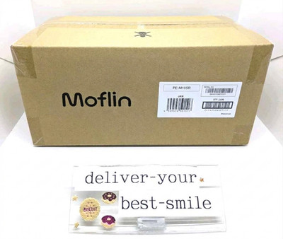 Casio AI Pet Moflin Silver PE-M10SR Communication Robot AC100V