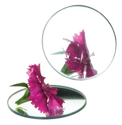 EISCO Concave Mirror, 10cm Dia., Focal Length 3.9''L x 3.9''W 