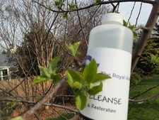 Water Pipe Cleaner GLASS CLEANSE - 32oz  Bong Gunked-up demolisher (E30)