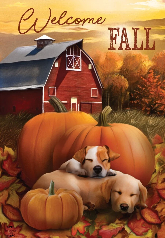Флаг Welcome Fall Puppies House Flag Autumn Pumpkin Farm 28 дюймов x 40 дюймов Briarwood Lane - Изображение 2 из 4