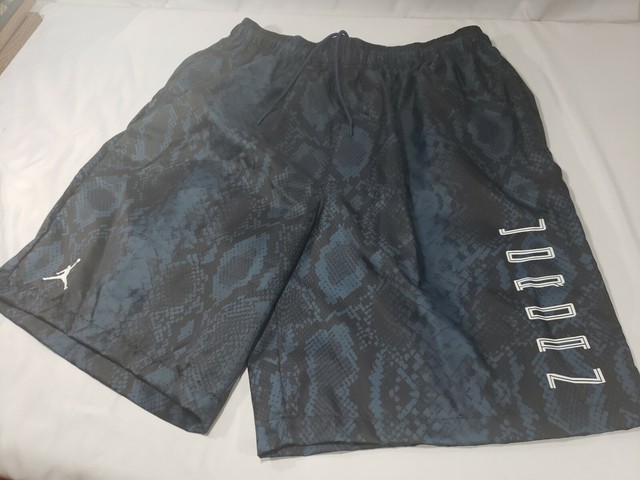 jordan retro 11 snakeskin shorts