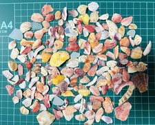sea Shell from Japan colorful fragments