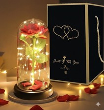 Led-Light Valentine's Day Gift Girlfriend Boyfriend Wife Birthday Anniversary 
