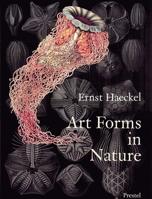 Art Forms in Nature The Prints of Ernst Haeckel
