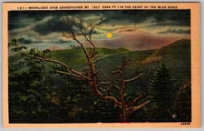 Vtg Linen Postcard Moonlit Grandfather Mountain Skyline Blue Ridge, NC 1930s
