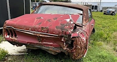 Crunched Mustang