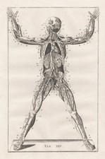 Squelette Humain SQUELETTE Eustachius Anatomie Médecine Gravure Sur Cuivre 1800