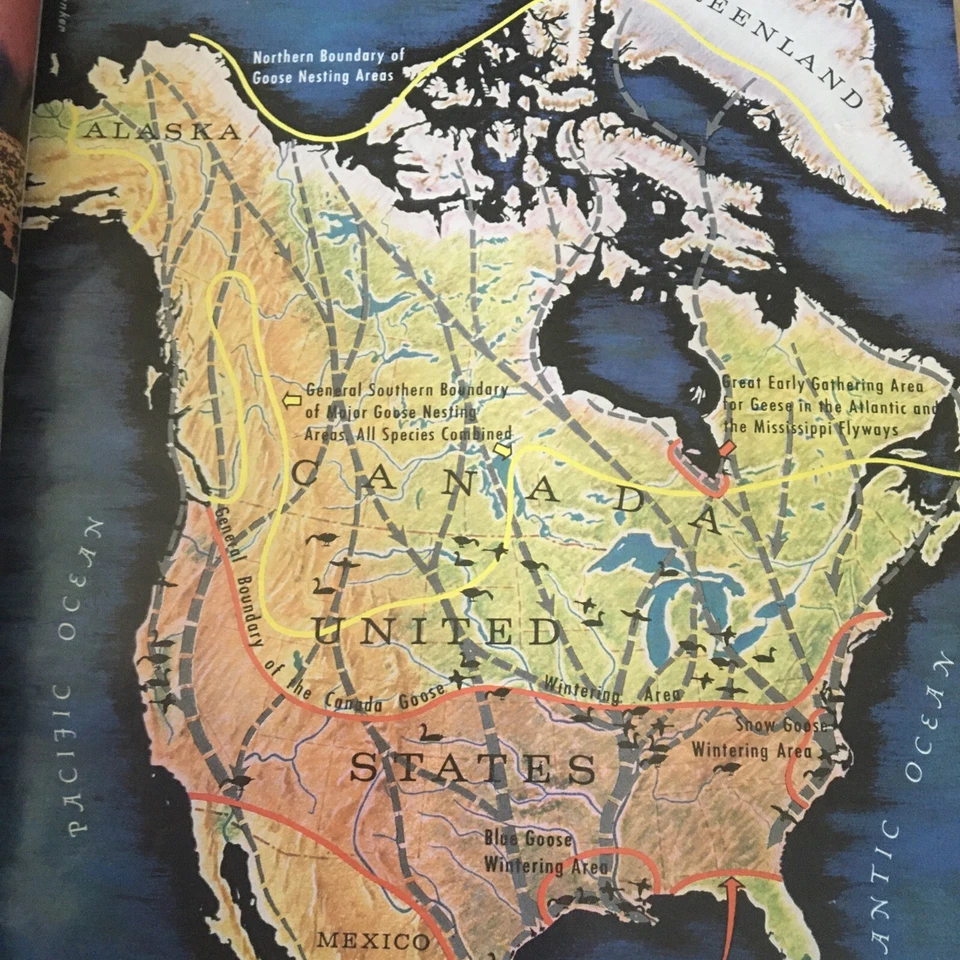 Field & Stream Magazine December 1963 Vintage Hunting Fishing Boatings Ads - Image 4 of 4