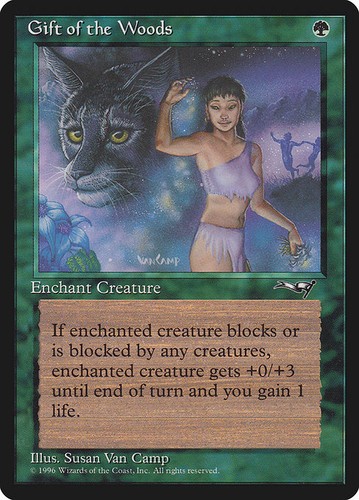 mtg card art van camp Susan Van Camp Magic The Gathering Artist