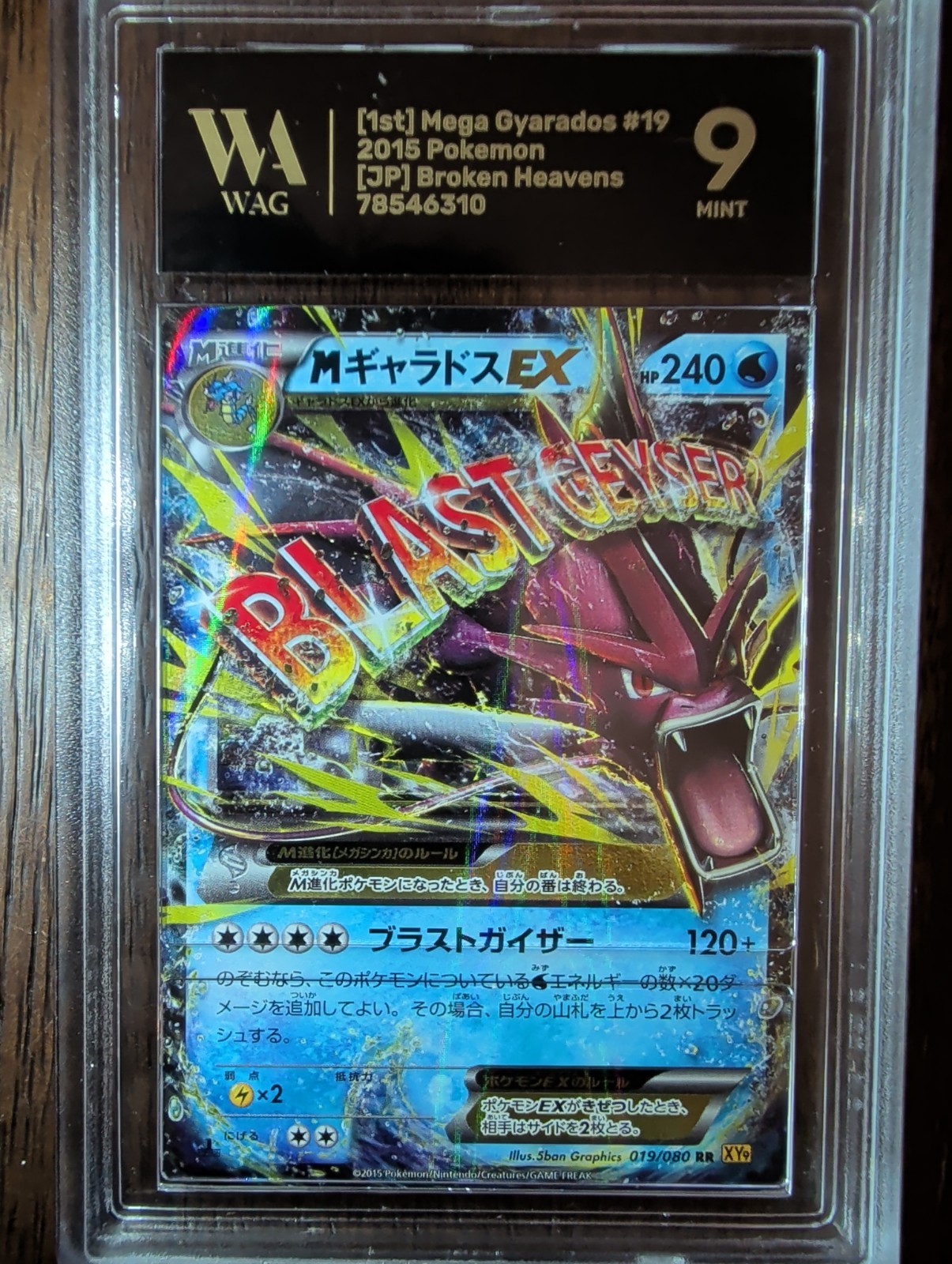 Mega Gyarados EX 019/080 Xy9: Rage of the Broken Heavens Holo (Japanese)