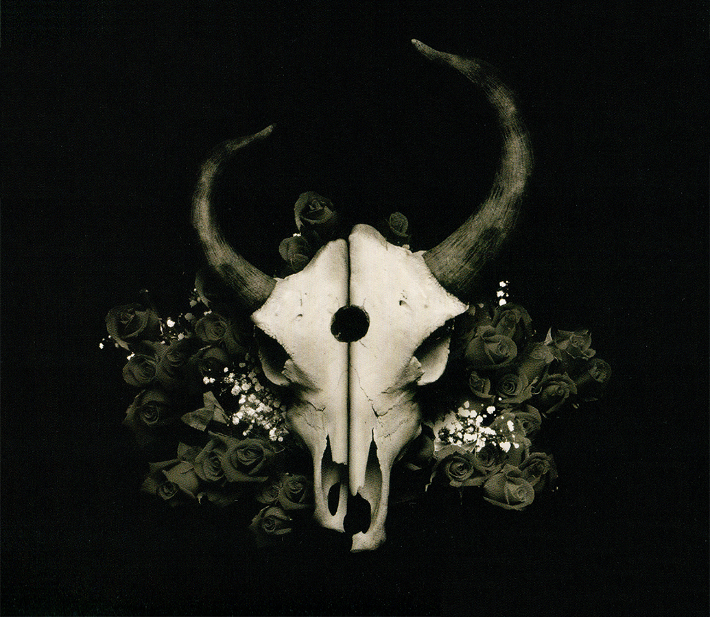 Demon Hunter ~ Summer Of Darkness (2004) CD 2023 Solid State