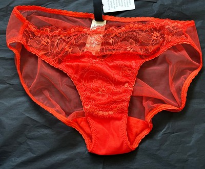 Dita Von Teese Poppy Lace Sheer Underwear Brief XS 6 8 BNWT NEW
