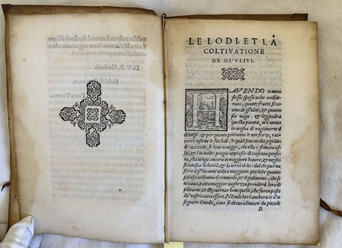 TRATTATO DI PIERO VETTORI DELLE LODI COLTIVAZIONE DE GL'ULIVI ULIVO OLIVO 1574 - Imagen 3 de 6