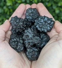 3pcs Raw Rough Prophecy Stone Pseudomorph Crystal Reiki Mineral Rocks Specimens