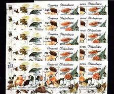 RE 10X ROMANIA 1994 - MNH - NATURE - MUSHROOMS