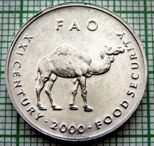 SOMALIA 2000 10 SHILLINGS, CAMEL, FAO SERIES, ALUMINIUM UNC