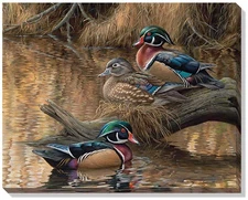 Rosemary Millette Sitting Pretty - Wood Ducks Open Edition Wrapped CVS 20.5x16