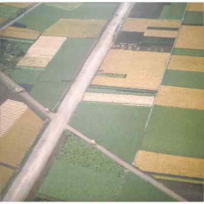 Celer / PERFECTLY BENEATH US (REMASTER) / Field Records / Field 32 / 12 Inch