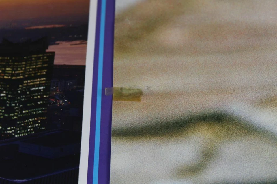 A4/ 2 Poster New York Verkerke + Rose on Wall with Barbed Wire - up to 93x62 /K4 - Image 4 of 4