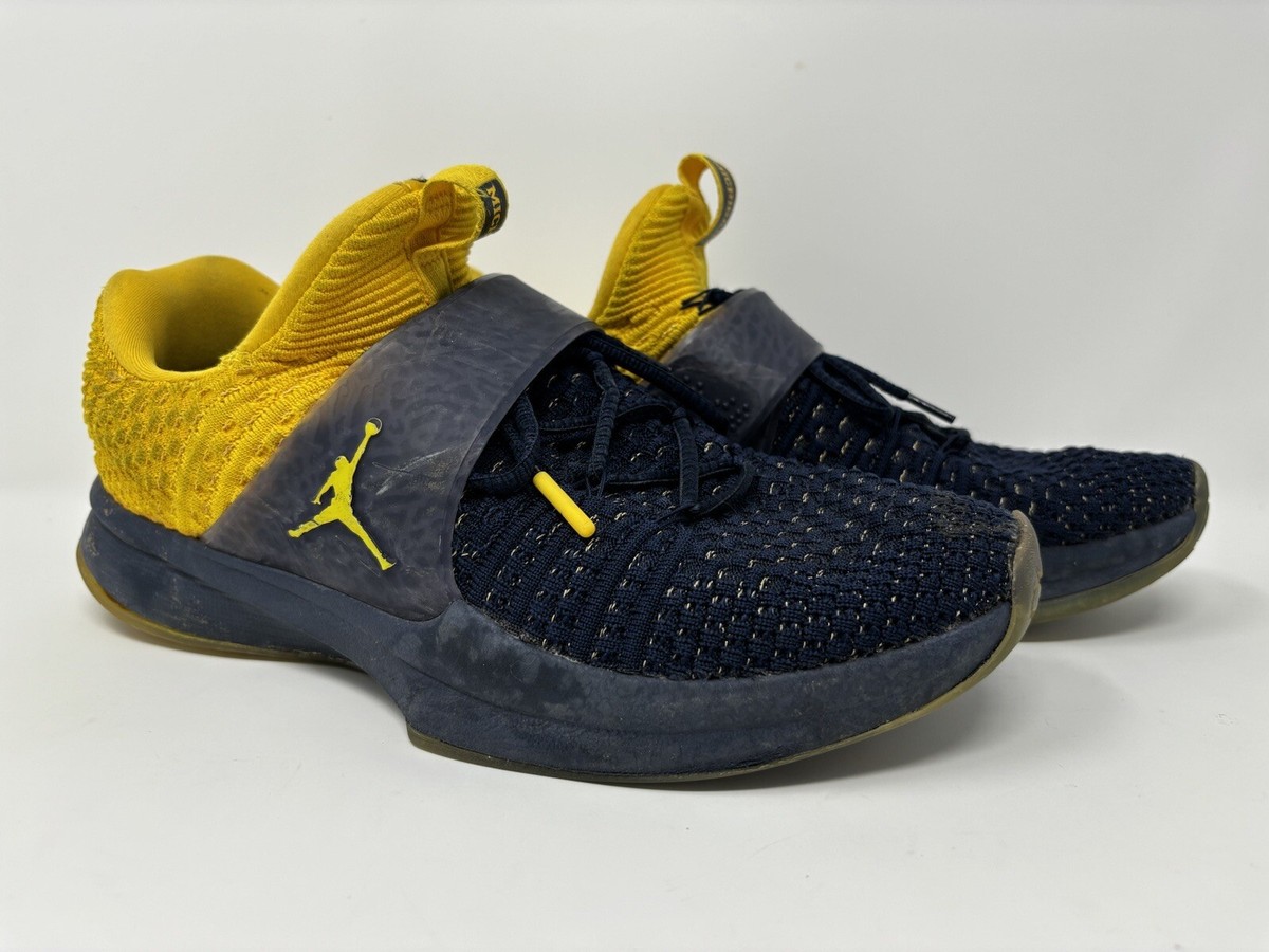 jordan trainer 2 flyknit michigan