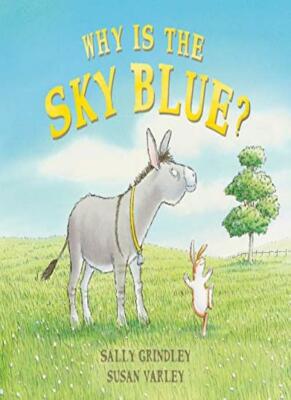 Why Is the Sky Blue? By Sally Grindley, Susan Varley