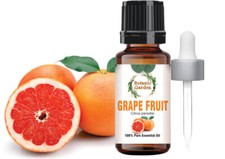 Grapefruit Or Citrus paradisi Oil For Cellulite 100% Pure Oil