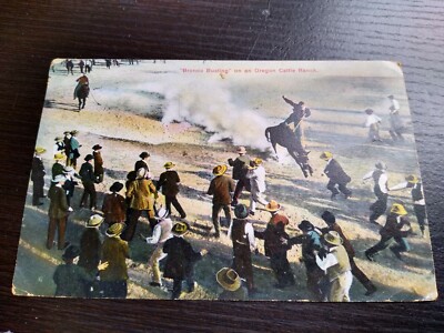 1910 Art Bronco Busting Oregon Cattle Ranch RPPC Photo Postcard