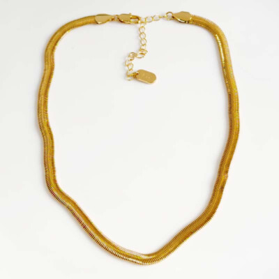 16'' Jenny Bird Minimalist Snake Chain Necklace Chic Women Party Vacation Jewelry